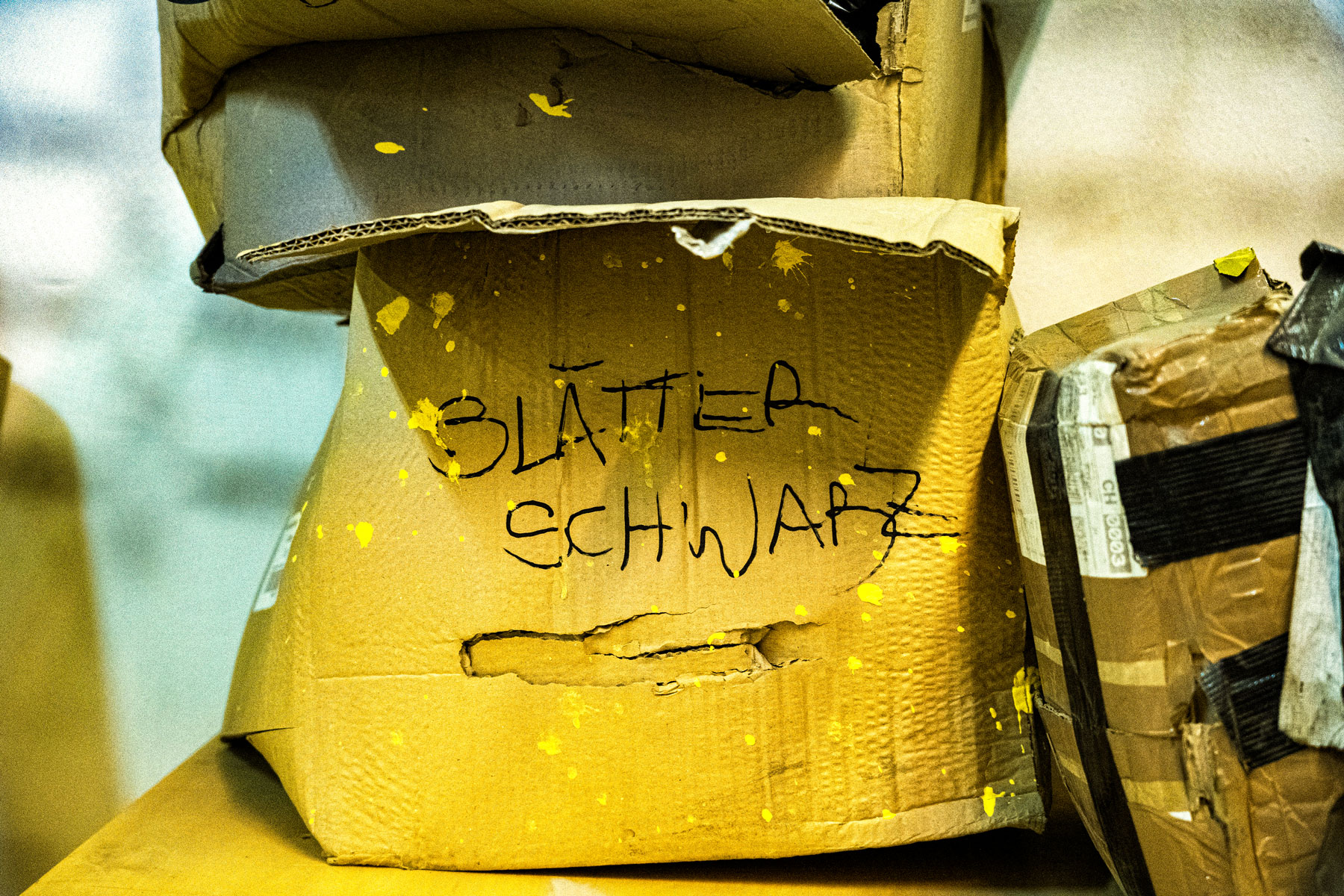 Choreohalle Ostkurve Bern Impressionen